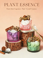 Dried Flower Infused Essential Oil Crystal - Aromatherapy Decor for Home Office